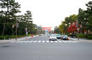 Torii Gate, Kyoto | by Flight Centre's Tiffany Apatu