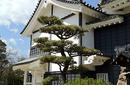 Black Crow Castle, Okayama | by Flight Centre's Emily Pearce