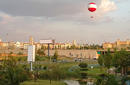 Johannesburg Gardens