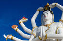 Shiva Statue