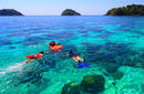 Admire the marine life