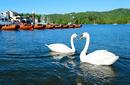 Windermere