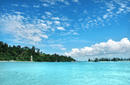 Clear Blue Waters