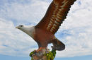 Giant Eagle Statue