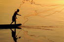A Fisherman Casts His Net