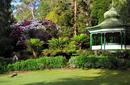 Picnic Area, Cataract Gorge