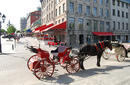 Take a Nostalgic Horse and Carriage Ride