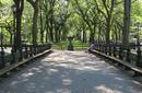 Central Park | by Flight Centre&#039;s Belinda Oudshoorm