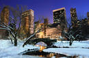 Central Park in Winter