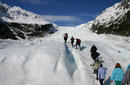 Trekking the Fox Glacier