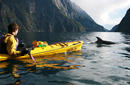 Milford Sound | by Flight Centre's Kim Bui