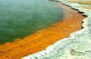 Champagne Pool, Rotorua