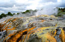 Pohutu Geyser, Whakarewarewa Thermal Reserve, Rotorua