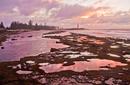 The Beautiful Coastline