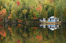 Autumn, Cape Breton, Canada | by Flight Centre's Fiona Bounsall