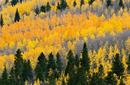 Rocky Mountains, Colorado, United States