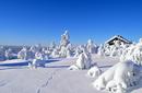 Covered in snow