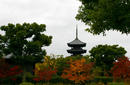 Kyoto Temples, a train ride from Osaka | by Flight Centre's Tiffany Apatu
