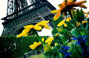 The Eiffel Tower | by Flight Centre&#039;s Richard Dannhauser