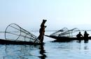 Local Fishermen