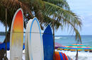 Hit the Surf