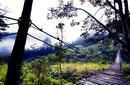 Hanging Bridge