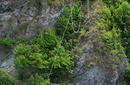 Bungee Jumping