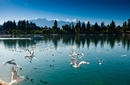 Beautiful scenery