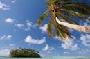 Secluded Island