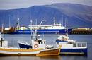 The Harbour