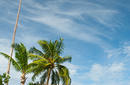 Apia | by Flight Centre's Tali Schutte