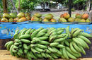 Fruit For Sale