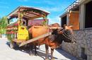 Traditional Transport on the Seychelles