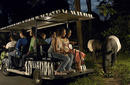 Night Safari