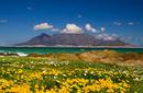Table Mountain, Cape Town