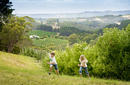Stella Creek Cherry Orchard | © SATC by Adam Bruzzone