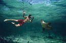 Swimming with Sea Lions, Baird Bay | © SATC