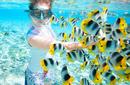 Admire the Marine Life, from Tahiti