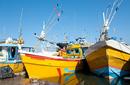Traditional Boats