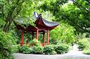 Chinese Garden