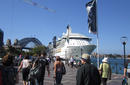 Radiance of the Seas in Sydney Harbour | by Flight Centre&#039;s Katrina Imbruglia