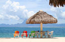 Relax under a thatch umbrella