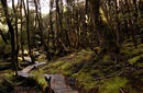 Cradle Mountain