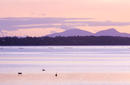 Grants Lagoon