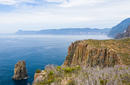 Tasman National Park