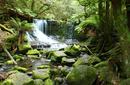 Russell Falls