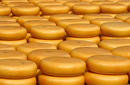 Cheese for Sale, Alkmaar