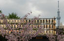 Asakusa | by Flight Centre&#039;s Tiffany Apatu