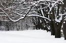 Winter in Toronto