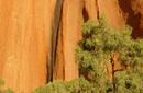 Uluru up Close | by Flight Centre's Jade Webb